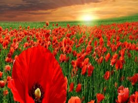 Joint Service at Emmanuel